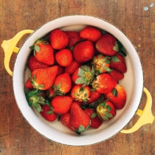 This Sunday
Last minute plans for your weekend.....? 🍓
L E A R N how to
Preserve Jams and Whole Fruit :
With @katewalsh_realfood
Sunday 11th September
held in the Harvest Old Bakery
2:00 - 4:00pm.
Link in @katewalsh_realfood BIO ➪ http://www.realfoodprojects.com/products/sweet-seasonal-preserving-jams-fruit